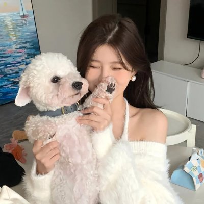 女人的碎片